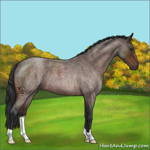 Horse Color:Brown Roan
