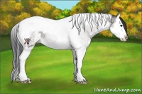 Horse Color:Grullo Sabino Splash Tobiano Rabicano 