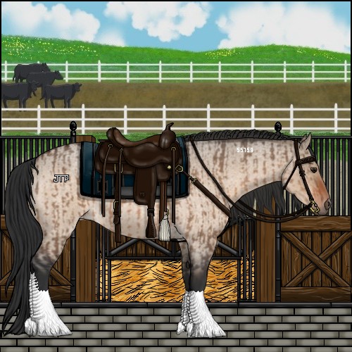 Horse Color:Brown Dun  and Brown Roan Dun 