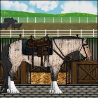 Horse Color:Brown Dun and Brown Roan Dun