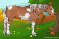 Horse Color:Silver Bay Tobiano Frame Rabicano 