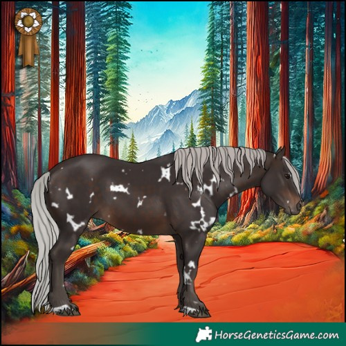 Horse Color:White Spotted Silver Brown 