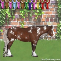 Horse Color:White Spotted Silver Brown Splash 