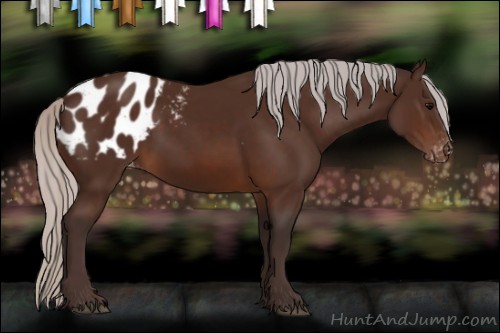 Horse Color:Silver Brown Blanket