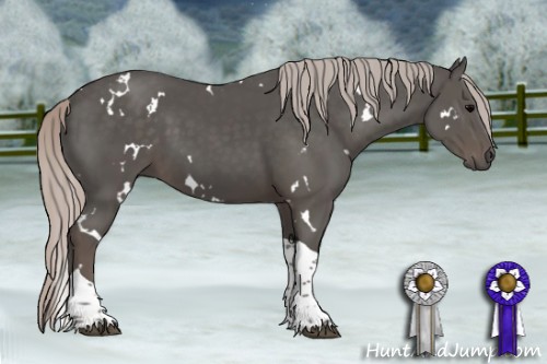 Horse Color:White Spotted Silver Black Tobiano 