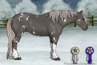 Horse Color:White Spotted Silver Black Tobiano 