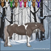 Horse Color:Silver Black Tobiano 