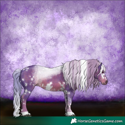 Horse Color:Watercolor White Spotted Liver Chestnut 