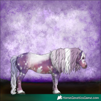 Horse Color:Watercolor White Spotted Liver Chestnut 