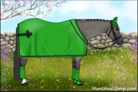 Horse Color:Grullo Roan Tobiano 