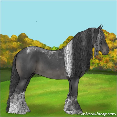 Horse Color:Blue Roan Tobiano 