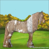 Horse Color:White Spotted Chocolate Palomino Roan 