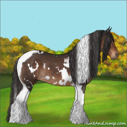 Horse Color:White Spotted Liver Chestnut Tobiano Rabicano 