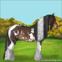 Horse Color:White Spotted Liver Chestnut Tobiano Rabicano