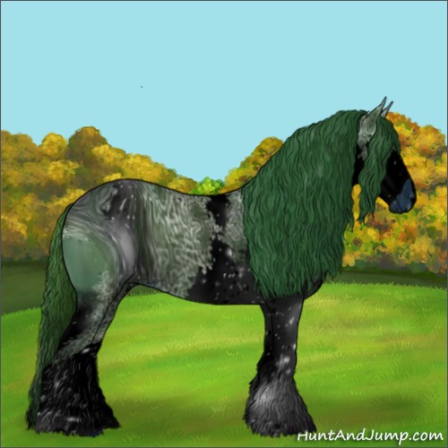 Horse Color:ERROR: UNKNOWN ANOMALY