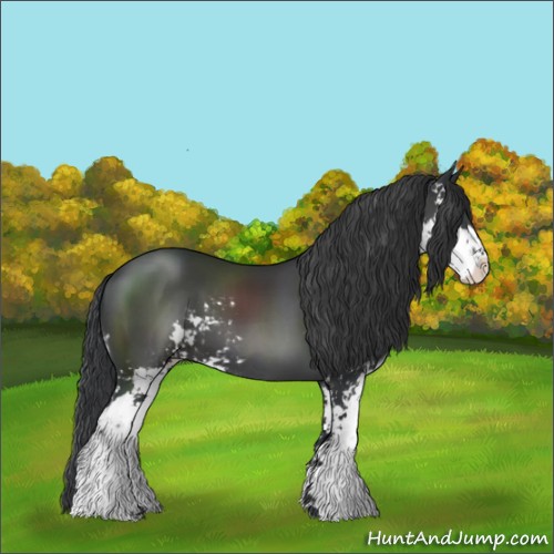 Horse Color:Black Sabino 