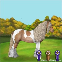 Horse Color:Chestnut Tobiano Rabicano