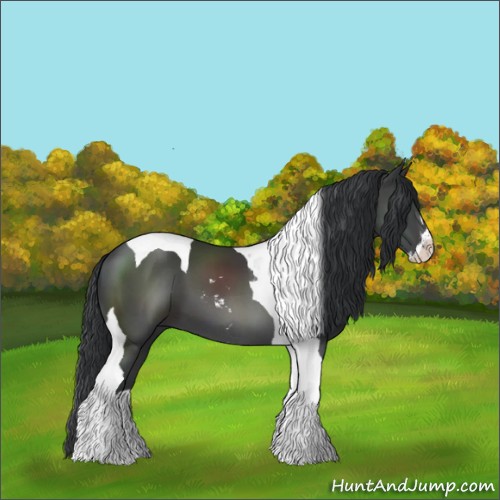 Horse Color:Black Sabino Tobiano 