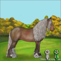Horse Color:Silver Black Sabino