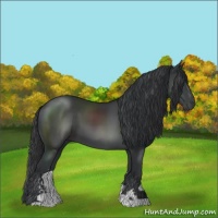 Horse Color:Black Sabino
