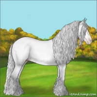Horse Color:Silver Sable Champagne Chinchilla Roan