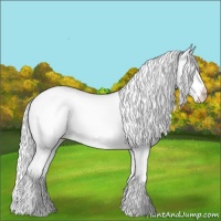 Horse Color:Silver Classic Champagne Chinchilla Splash Appaloosa 
