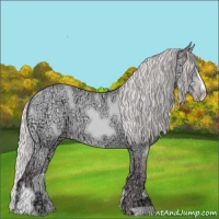 Horse Color:Chocolate Silver Sable Champagne Chinchilla Ice Sabino