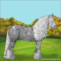 Horse Color:Gold Champagne Chinchilla Ice Dun 