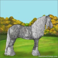 Horse Color:Silver Classic Champagne Chinchilla Ice