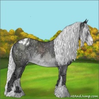 Horse Color:Silver Classic Cream Champagne Chinchilla Ice Sabino Varnish 