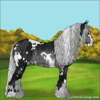 Horse Color:White Spotted Silver Brown Chinchilla Ice Sabino