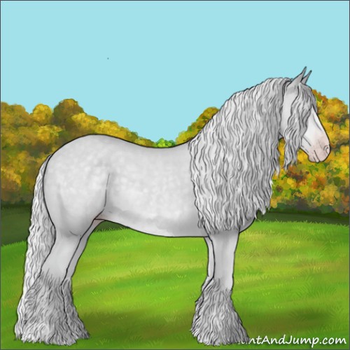 Horse Color:Silver Classic Champagne Chinchilla