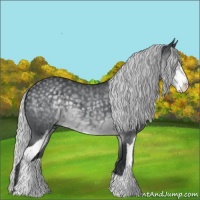 Horse Color:Silver Black Chinchilla Sabino