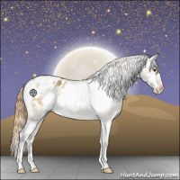 Horse Color:White Spotted Buckskin Dun Blanket 