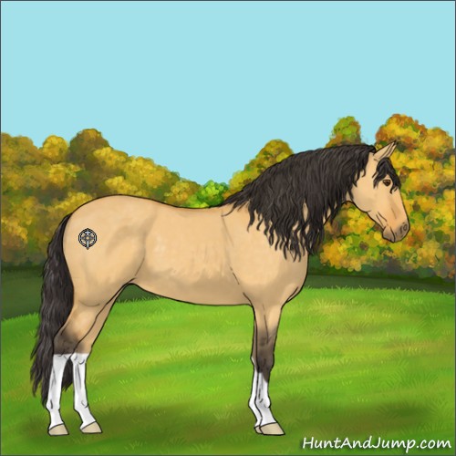 Horse Color:Unknown 