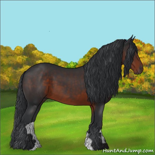 Horse Color:Brown Sabino 