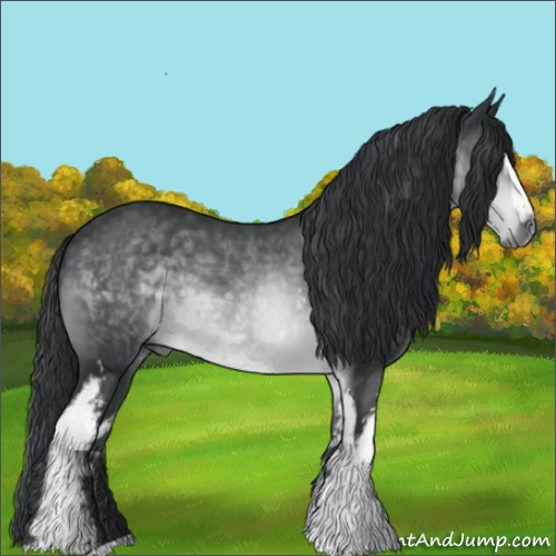 Horse Color:White Spotted Brown Chinchilla 