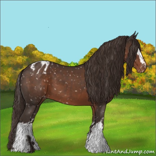 Horse Color:White Spotted Liver Chestnut Blanket 