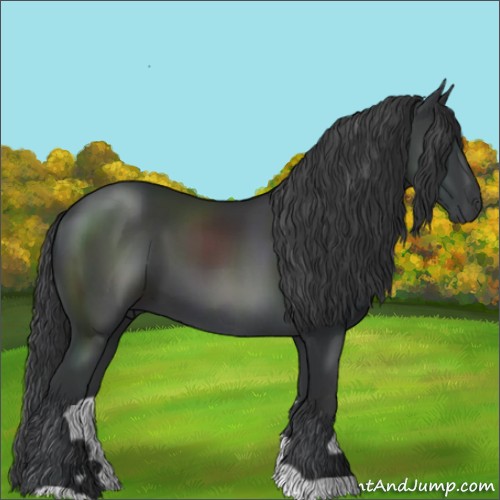 Horse Color:Black 