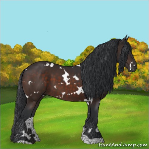 Horse Color:White Spotted Brown 