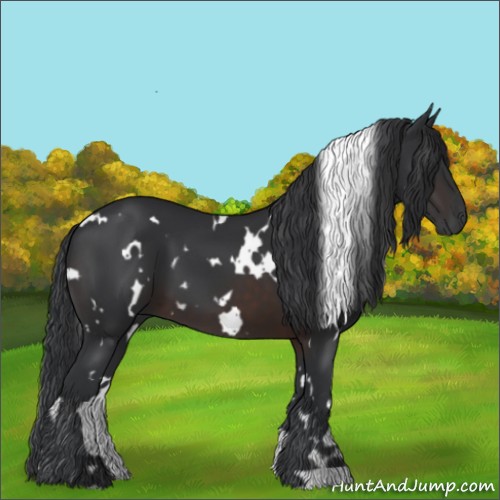 Horse Color:White Spotted Brown 