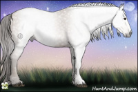 Horse Color:Gray Black Pearl Sabino 