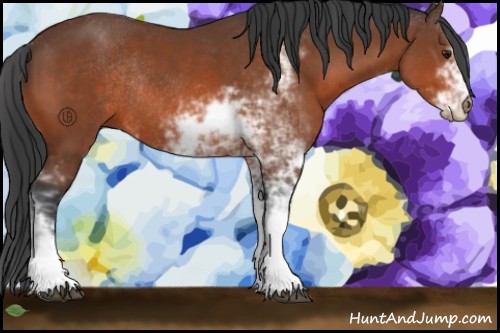 Horse Color:Brown Sabino Rabicano