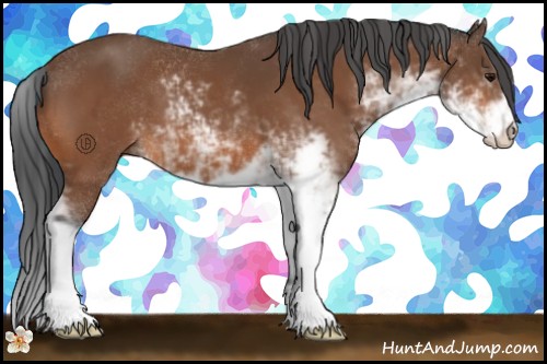 Horse Color:Bay Sabino