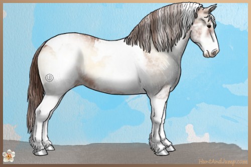 Horse Color:White Spotted Brown Pearl Onyx Tobiano Rabicano