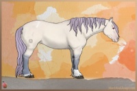 Horse Color:Watercolor Bay Chinchilla Dun Tobiano Appaloosa Rabicano 