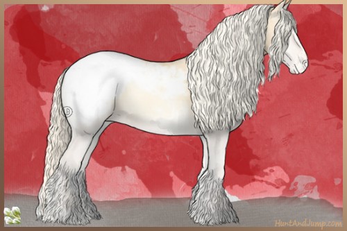 Horse Color:Palomino Pearl Onyx Snowcap 