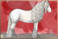 Horse Color:Palomino Pearl Onyx Snowcap 