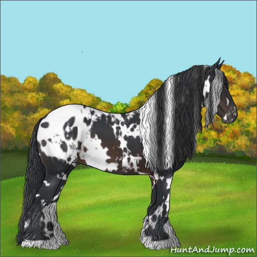 Horse Color:White Spotted Brown Blanket 