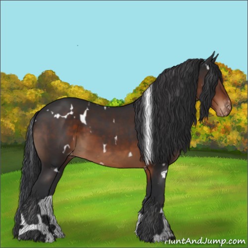 Horse Color:White Spotted Brown Varnish
